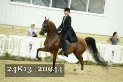 24R13_20944 thumbnail