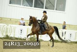 24R13_20946 thumbnail