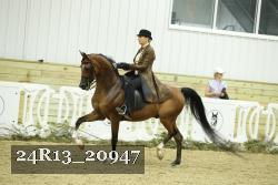 24R13_20947 thumbnail