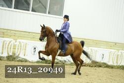 24R13_20949 thumbnail