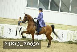 24R13_20950 thumbnail