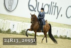 24R13_20951 thumbnail