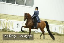 24R13_20952 thumbnail