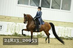 24R13_20953 thumbnail