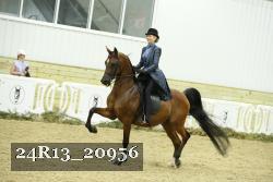 24R13_20956 thumbnail