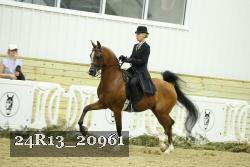 24R13_20961 thumbnail