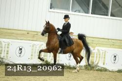 24R13_20962 thumbnail