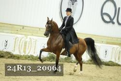 24R13_20964 thumbnail