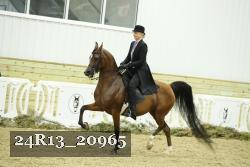 24R13_20965 thumbnail