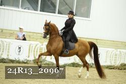 24R13_20967 thumbnail