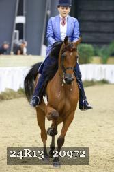 24R13_20972 thumbnail