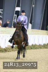 24R13_20975 thumbnail