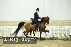 24R13_20978 thumbnail
