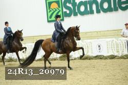 24R13_20979 thumbnail
