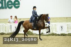 24R13_20980 thumbnail