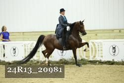 24R13_20981 thumbnail