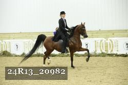 24R13_20982 thumbnail