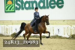 24R13_20983 thumbnail