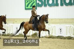24R13_20984 thumbnail