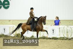24R13_20985 thumbnail