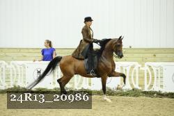 24R13_20986 thumbnail