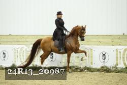 24R13_20987 thumbnail