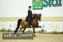 24R13_20988 thumbnail