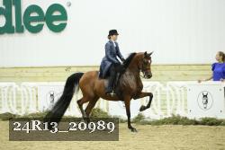 24R13_20989 thumbnail