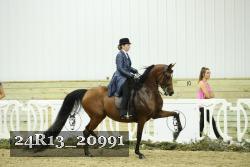 24R13_20991 thumbnail