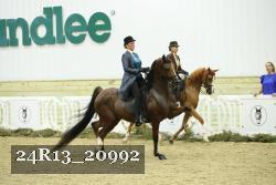 24R13_20992 thumbnail