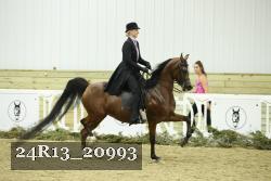24R13_20993 thumbnail