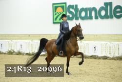 24R13_20996 thumbnail