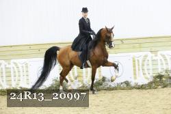 24R13_20997 thumbnail