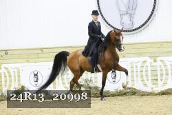 24R13_20998 thumbnail