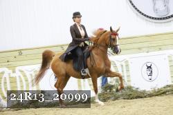 24R13_20999 thumbnail