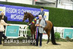 24R13_21016 thumbnail