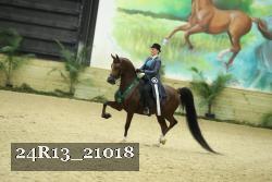24R13_21018 thumbnail