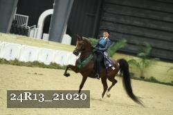 24R13_21020 thumbnail
