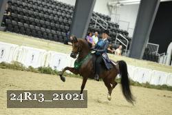 24R13_21021 thumbnail