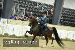 24R13_21022 thumbnail
