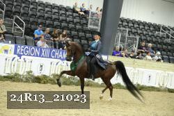 24R13_21023 thumbnail