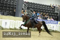 24R13_21024 thumbnail
