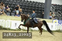 24R13_21025 thumbnail