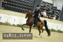 24R13_21026 thumbnail