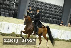 24R13_21027 thumbnail