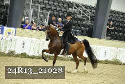 24R13_21028 thumbnail