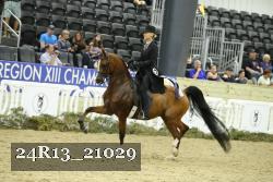 24R13_21029 thumbnail
