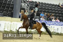 24R13_21030 thumbnail