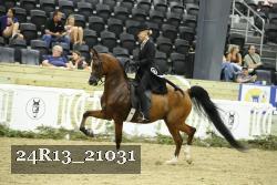 24R13_21031 thumbnail