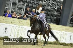 24R13_21032 thumbnail